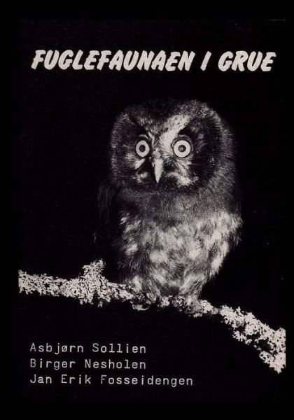 Cover for Birger Nesholen · Fuglefaunaen i Grue (Paperback Bog) (2014)