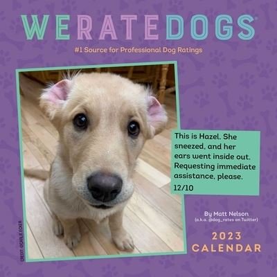 WeRateDogs 2023 Mini Wall Calendar - Matt Nelson - Merchandise - Andrews McMeel Publishing - 9781524873141 - 1. august 2022