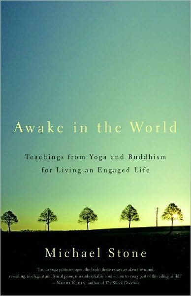 Cover for Michael Stone · Awake in the World: Teachings from Yoga and Buddhism for Living an Engaged Life (Paperback Book) (2011)