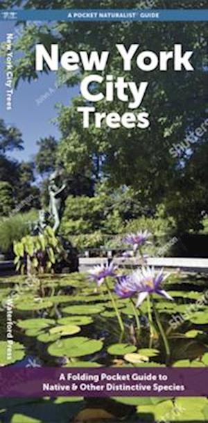 Cover for Waterford Press · New York City Trees: A Folding Pocket Guide to Familiar Trees - Pocket Naturalist Guide (Pamphlet) (2025)