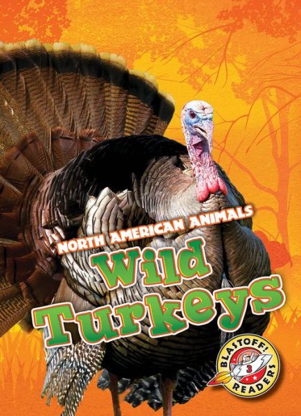 WIld Turkeys - Rebecca Sabelko - Books - Bellwether Media - 9781626179141 - 2019