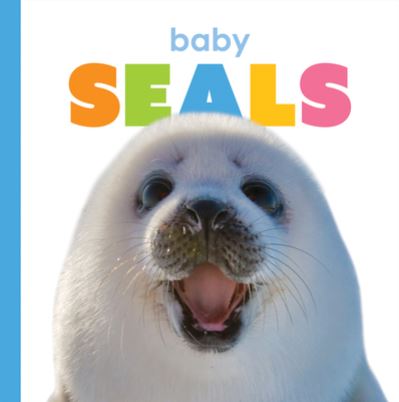 Cover for Kate Riggs · Baby Seals (Paperback Book) (2020)