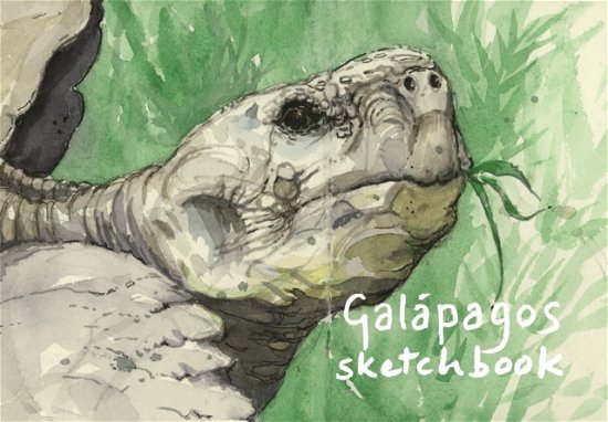 Cover for David Pollock · Galapagos Sketchbook (Hardcover Book) (2023)