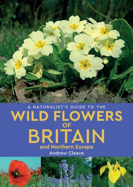 Cover for Andrew Cleave · A Naturalist's Guide to the Wild Flowers of Britain and Northern Europe (2nd edition) - Naturalist's Guide (Taschenbuch) [2 Revised edition] (2019)