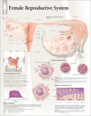 Understanding Nutrition Laminated Poster - Scientific Publishing - Koopwaar - Scientific Publishing - 9781932922141 - 1 november 2005