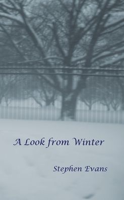 Cover for Stephen Evans · A Look from Winter (Pocketbok) (2021)