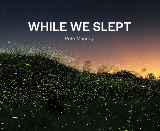 While We Slept - Pete Mauney - Books - Oro Editions - 9781961856141 - November 18, 2024