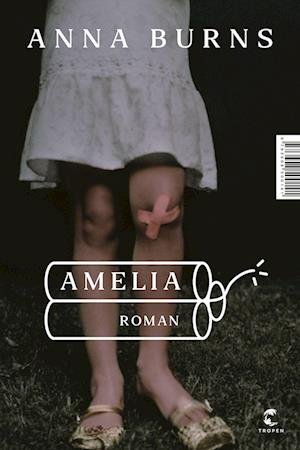 Cover for Anna Burns · Amelia (Buch) (2022)