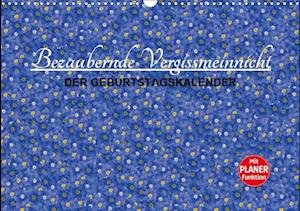 Cover for Valentino · Bezaubernde Vergissmeinnicht (Bog)