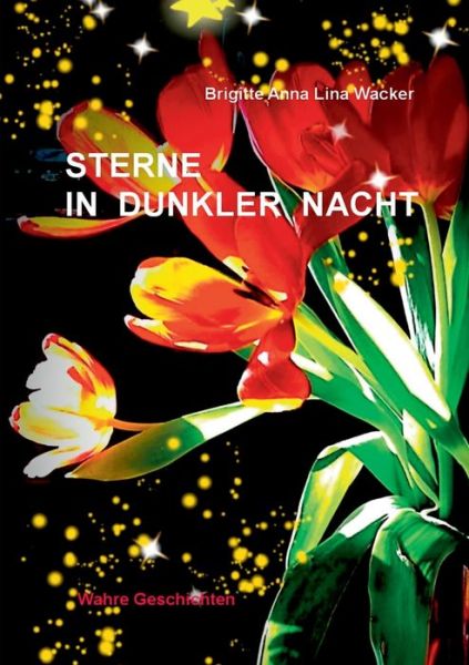 Cover for Brigitte Anna Lina Wacker · Sterne in dunkler Nacht: Wahre Geschichten (Paperback Book) (2020)