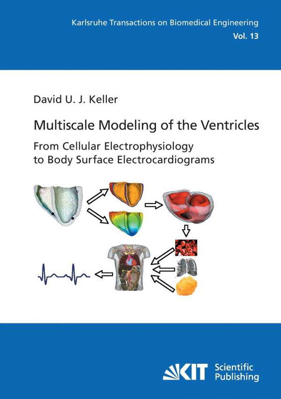 Cover for Keller · Multiscale Modeling of the Ventr (N/A) (2014)