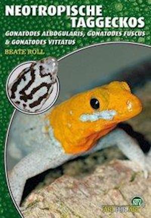 Neotropische Taggeckos - Beate Röll - Books - NTV Natur und Tier-Verlag - 9783866591141 - August 12, 2009