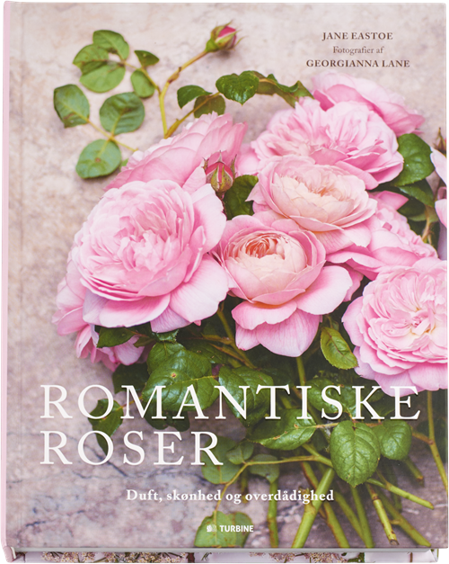 Cover for Jane Eastoe · Romantiske roser (Inbunden Bok) [1:a utgåva] (2017)