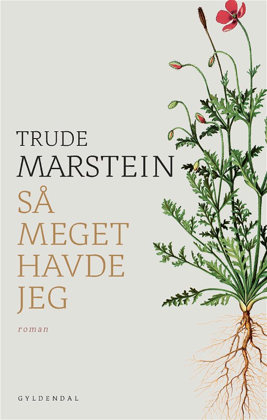 Cover for Trude Marstein · Så meget havde jeg (Sewn Spine Book) [1.º edición] (2020)