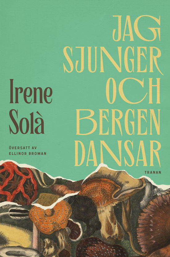 Jag sjunger och bergen dansar - Irene Solà - Bücher - Bokförlaget Tranan - 9789189814141 - 9. Januar 2024