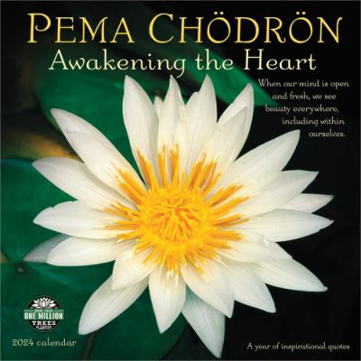 Cover for Pema Chodron · Pema Chodron 2024 Calendar (Calendar) (2023)