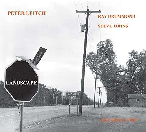 Cover for Peter Leitch · Landscape (CD) (2014)