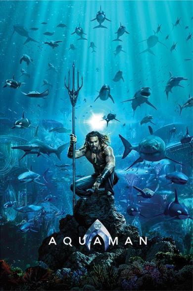 Cover for Dc Comics: Aquaman · AQUAMAN - Poster 61X91 - Teaser (MERCH) (2019)