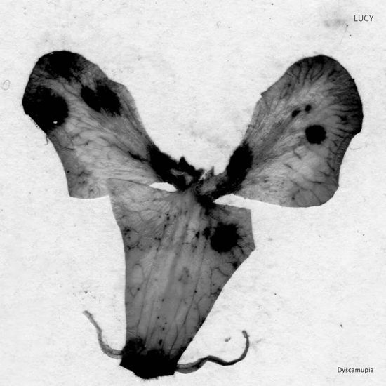 Dyscamupia - Lucy - Muziek - STROBOSCOPIC ARTEFACTS - 5050580776142 - 14 januari 2022