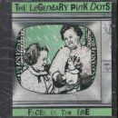 Faces in the Fire - Legendary Pink Dots - Musikk - Big Blue Records - 5901384834142 - 29. juni 2009