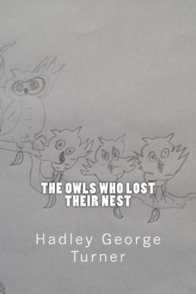 Cover for Hadley George Turner · Owls Who Lost Their Nest (Book) (2017)