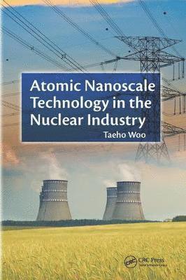 Cover for Taeho Woo · Atomic Nanoscale Technology in the Nuclear Industry - Devices, Circuits, and Systems (Paperback Book) (2017)