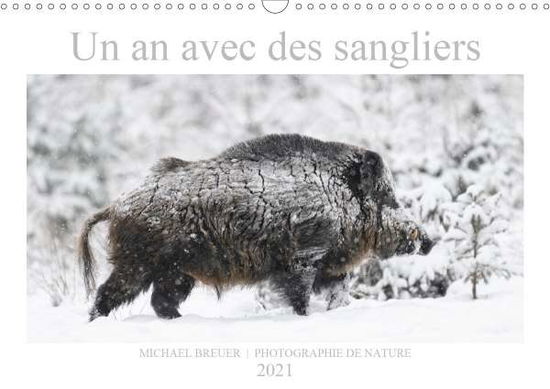 Cover for Breuer · Un an avec des sangliers (Calend (Book)