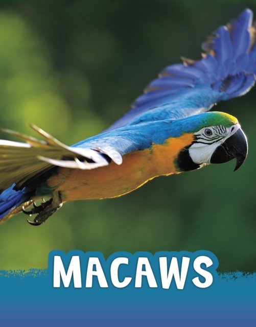 Cover for Jaclyn Jaycox · Macaws - Animals (Taschenbuch) (2022)
