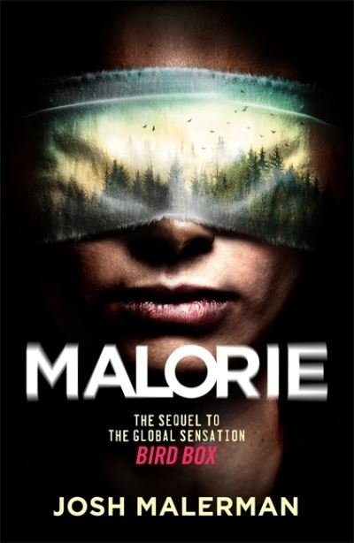 Malorie: 'One of the best horror stories published for years' (Express) - Josh Malerman - Livros - Orion Publishing Co - 9781409193142 - 7 de janeiro de 2021