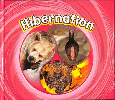 Hibernation - Cycles of Nature - Jaclyn Jaycox - Kirjat - Capstone Global Library Ltd - 9781474795142 - torstai 9. heinäkuuta 2020