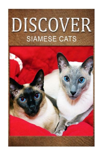 Cover for Discover Press · Siamese Cats - Discover: Early Reader's Wildlife Photography Book (Paperback Book) (2014)