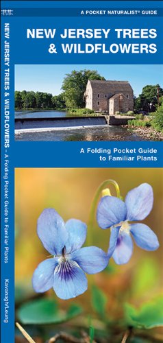 Cover for James Kavanagh · New Jersey Trees &amp; Wildflowers: a Folding Pocket Guide to Familiar Species (Pocket Naturalist Guide Series) (Pamphlet) [1st edition] (2017)