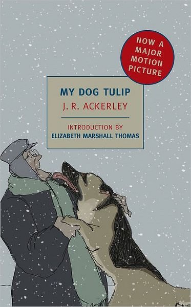 Cover for Elizabeth Marshall Thomas · My Dog Tulip (Paperback Book) [Main edition] (2010)