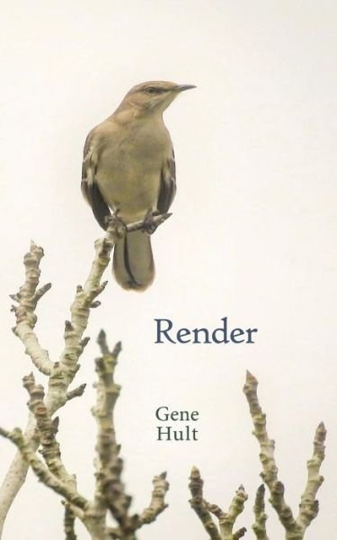 Cover for Gene Hult · Render (Paperback Book) (2018)