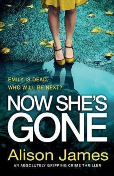 Cover for Alison James · Now She's Gone: An Absolutely Gripping Crime Thriller - Detective Rachel Prince (Paperback Bog) (2018)