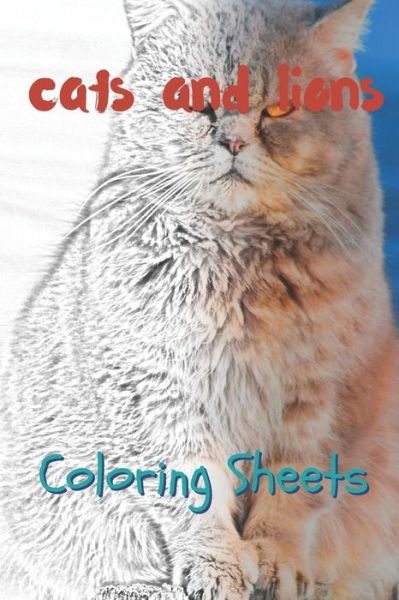 Cover for Julian Smith · Cat and Lion Coloring Sheets (Paperback Book) (2019)