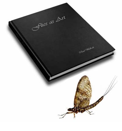 Cover for Paul Whillock · Flies as Art: The Definitve Step by Step Guide to Modern Realistic Fly Tying (Hardcover Book) (2006)