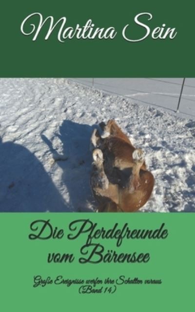 Cover for Martina Sein · Die Pferdefreunde vom Barensee (Taschenbuch) (2018)