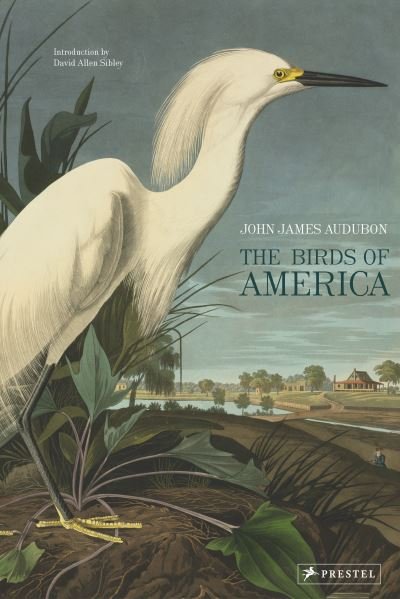 Cover for John James Audubon · The Birds of America (Gebundenes Buch) (2021)