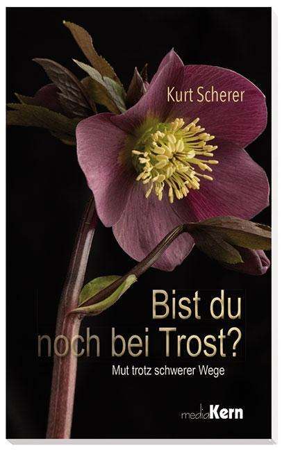 Cover for Scherer · Bist du noch bei Trost? (Book)