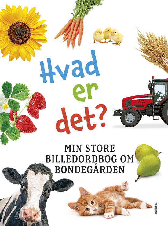 Hvad er det? Min store billedordbog om bondegården (Cardboard Book) [1st edition] (2024)