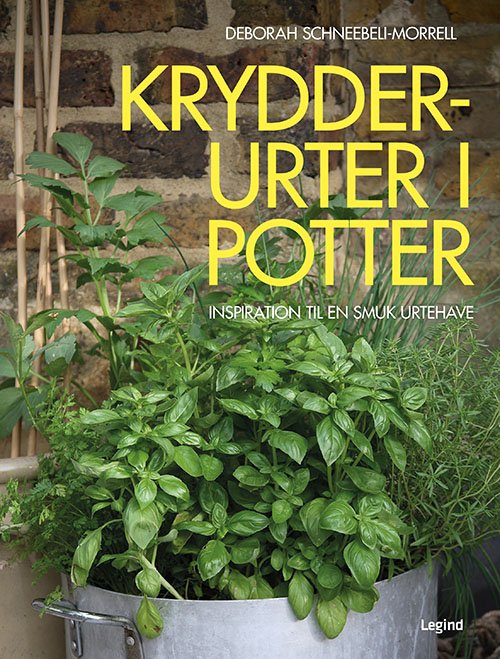 Krydderurter i potter - Deborah Schneebeli-Morrell - Bøger - Legind - 9788771558142 - 23. marts 2020