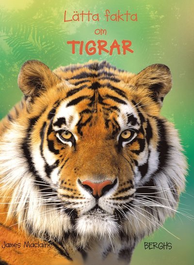 Cover for James Maclaine · Lätta fakta: Lätta fakta om tigrar (Inbunden Bok) (2012)