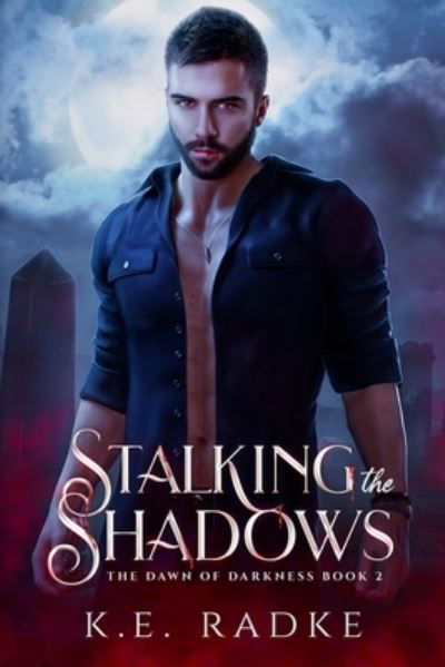 Cover for K E Radke · Stalking the Shadows: The Dawn of Darkness Book 2 - The Dawn of Darkness (Pocketbok) (2021)