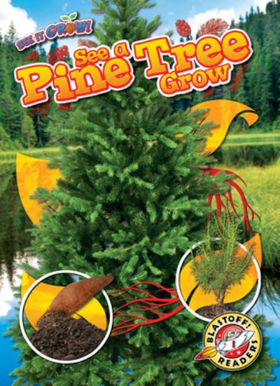 See a Pine Tree Grow - Kirsten Chang - Kirjat - Bellwether Media - 9798886871142 - 2023