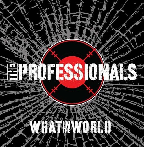 What in the World - Professionals - Muziek - Metalville - 4250444157143 - 25 januari 2018