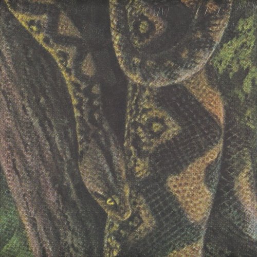 Cover for Rainforest Spiritual Enslavement · Ambient Black Magic (LP) (2017)