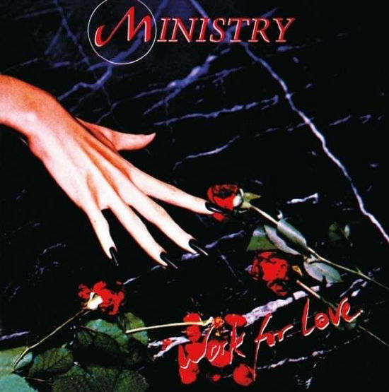 Work for Love - Ministry - Muziek - MUSIC ON CD - 8718627221143 - 14 december 2020