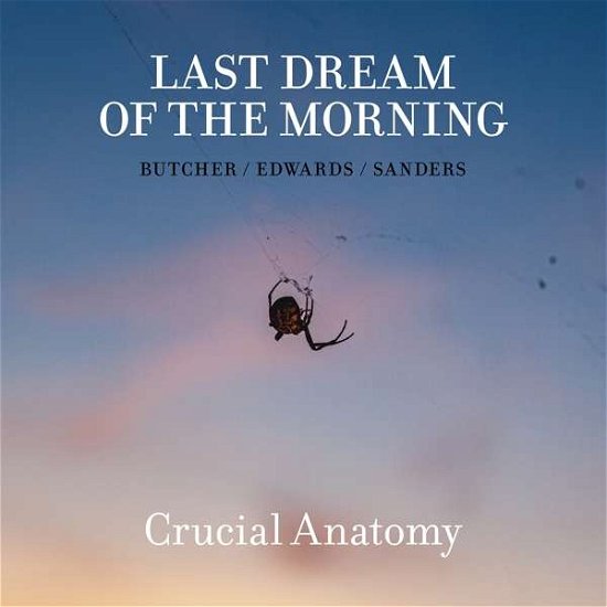 Cover for Last Dream Of The Morning · Crucial Anatomy (CD) (2020)