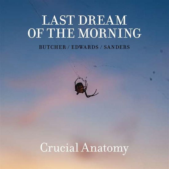 Crucial Anatomy - Last Dream Of The Morning - Music - TROST - 9120036683143 - January 24, 2020